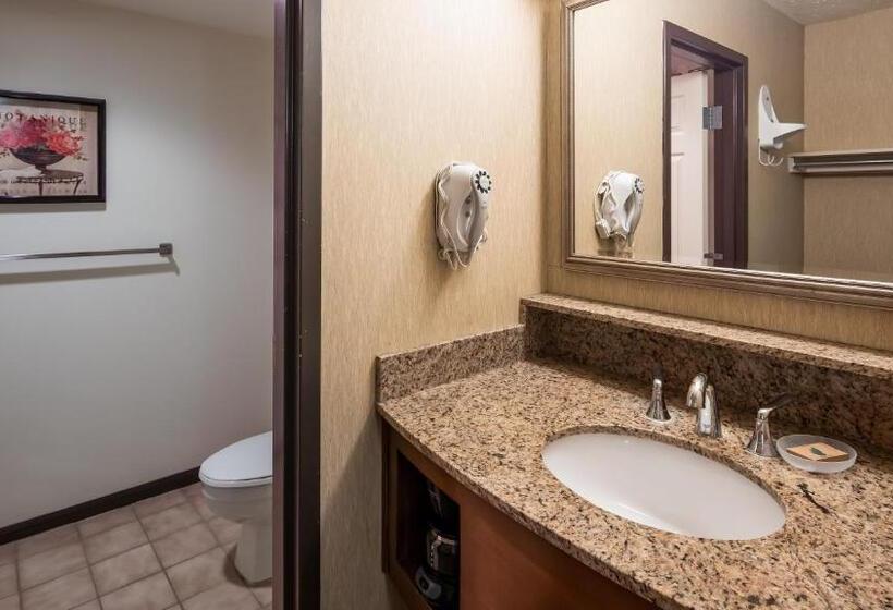 חדר סטנדרט עם מיטת קינג, Apple Tree Inn; Surestay Collection By Best Western