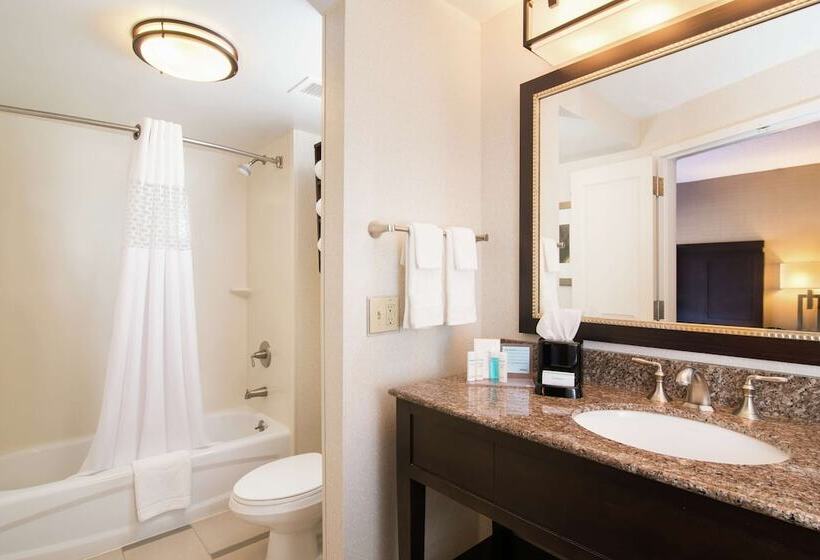 Номер Стандарт, Hampton Inn By Hilton Shelton