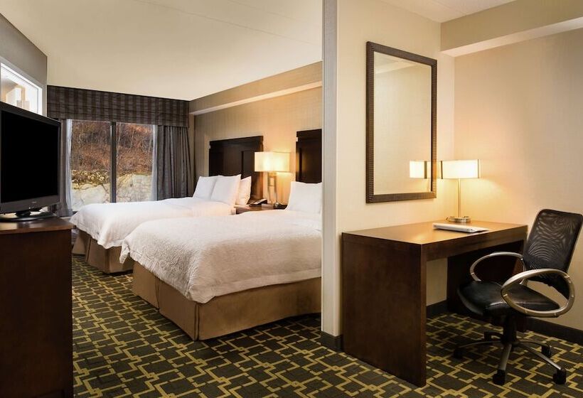 Номер Стандарт, Hampton Inn By Hilton Shelton