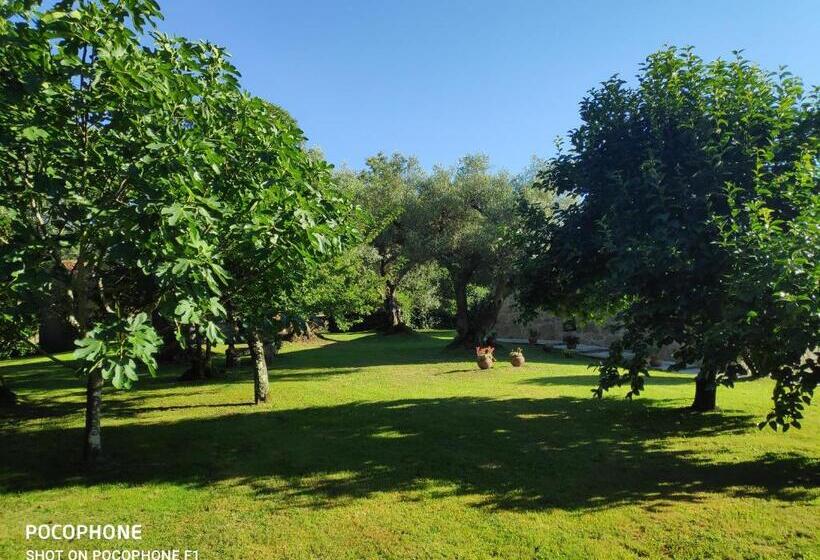 Номер Стандарт, Casas Da Quinta Da Cancela
