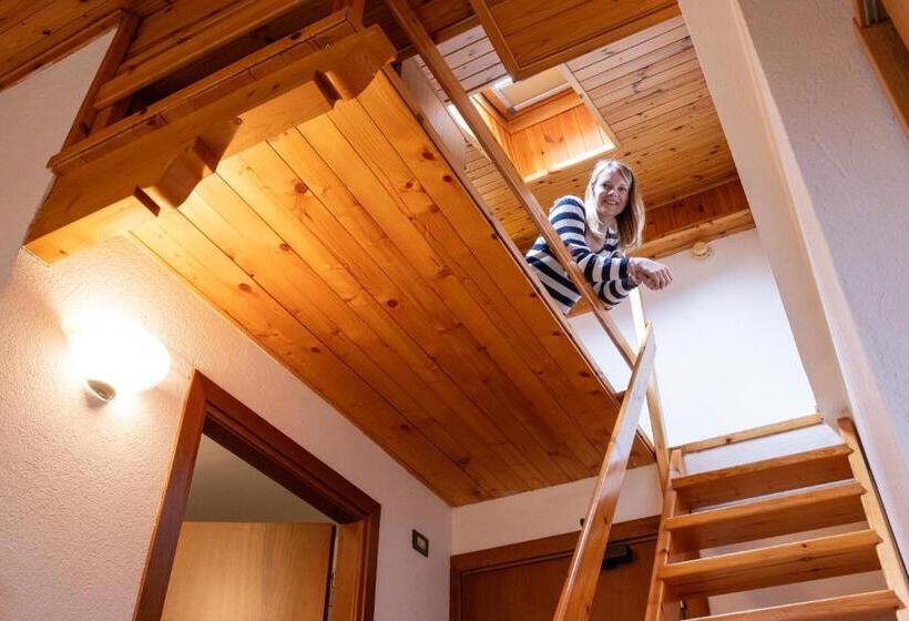 Номер Стандарт, Petit Tournalin