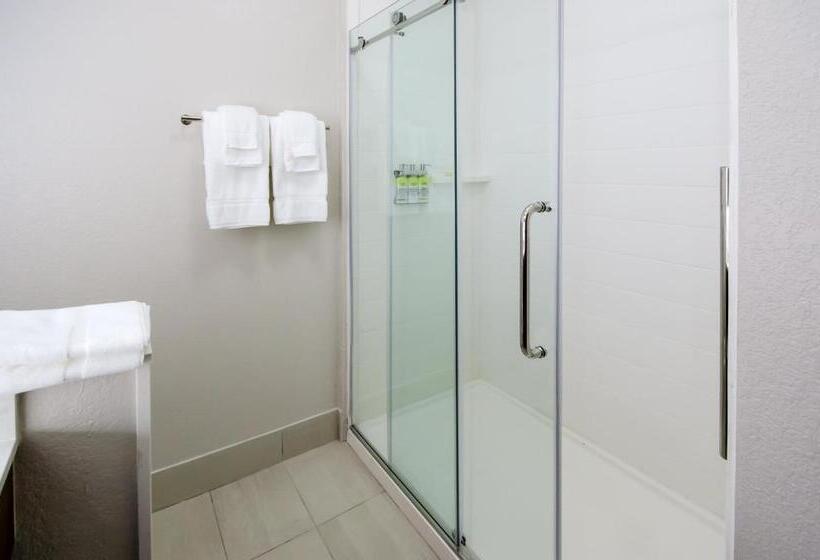 Семейный Номер, Holiday Inn Express & Suites Taylor, An Ihg