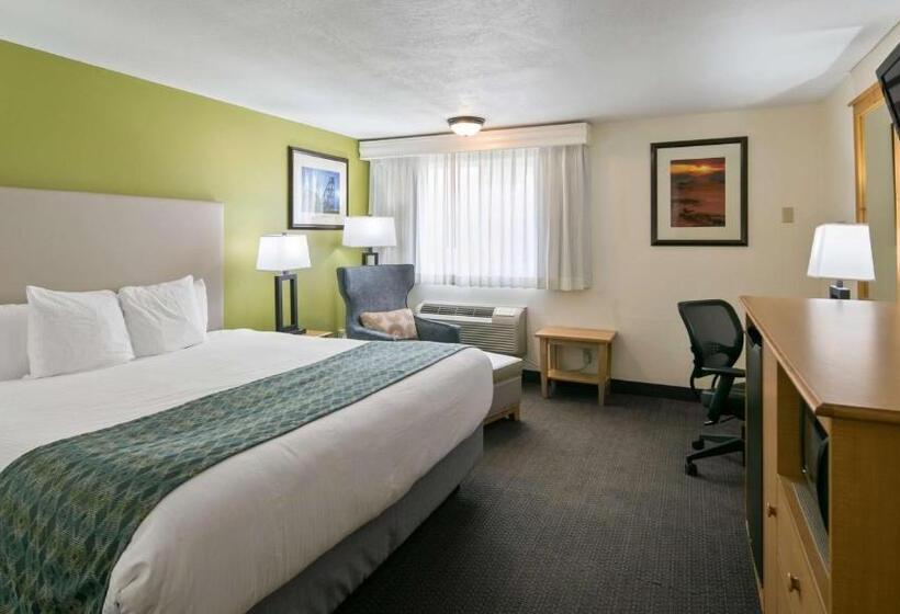 Номер Deluxe Кровать Кинг, Best Western Hidesert Inn