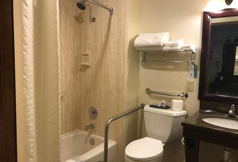 身障者適用スタンダードルーム, Best Western Hidesert Inn