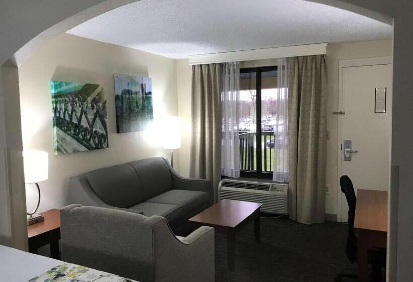 스위트 킹사이즈 침대, Best Western Inn & Suites Monroe
