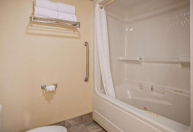 Стандартный Номер Кровать Кинг, Best Western Music Capital Inn