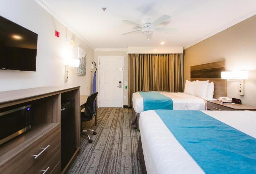 身障者適用クイーンサイズベッドルーム, Best Western Pearland Inn