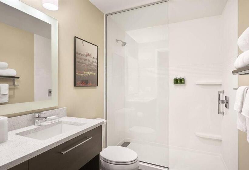 Студио Стандарт Кровать Кинг, Towneplace Suites By Marriott Medicine Hat