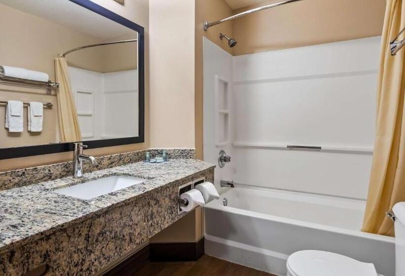 Номер Стандарт, Best Western Dodgeville Inn & Suites