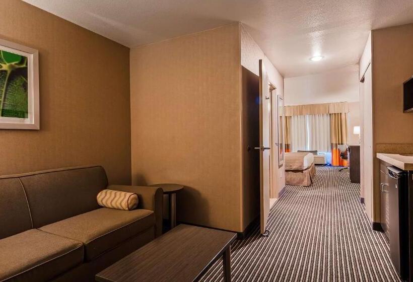 Люкс Кровать Кинг, Best Western Plus Rama Inn & Suites
