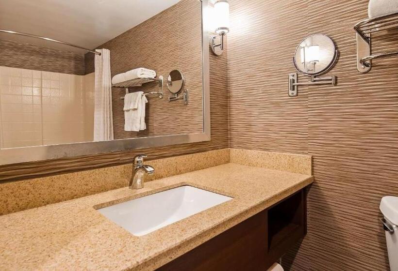 Номер Стандарт Кровать Кинг Адаптированный для Инвалидов, Best Western Plus Rama Inn & Suites