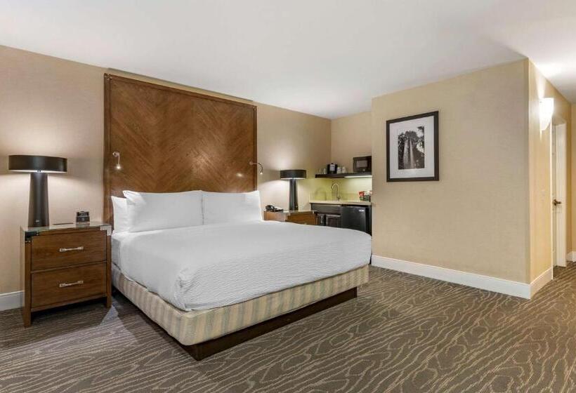 Стандартный Номер Кровать Кинг, Best Western Plus Stevenson Manor