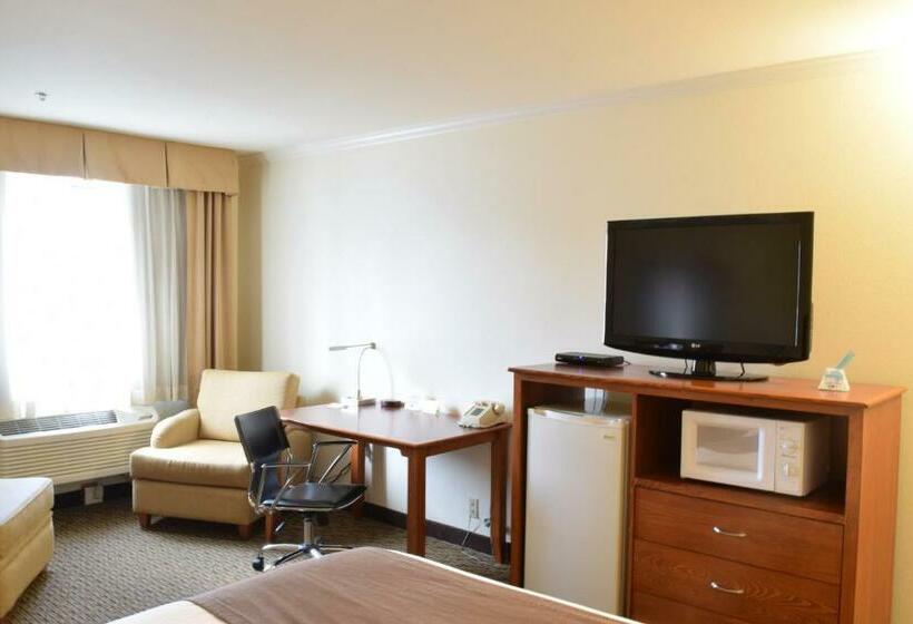 اتاق استاندارد, Best Western Tumwater Olympia Inn