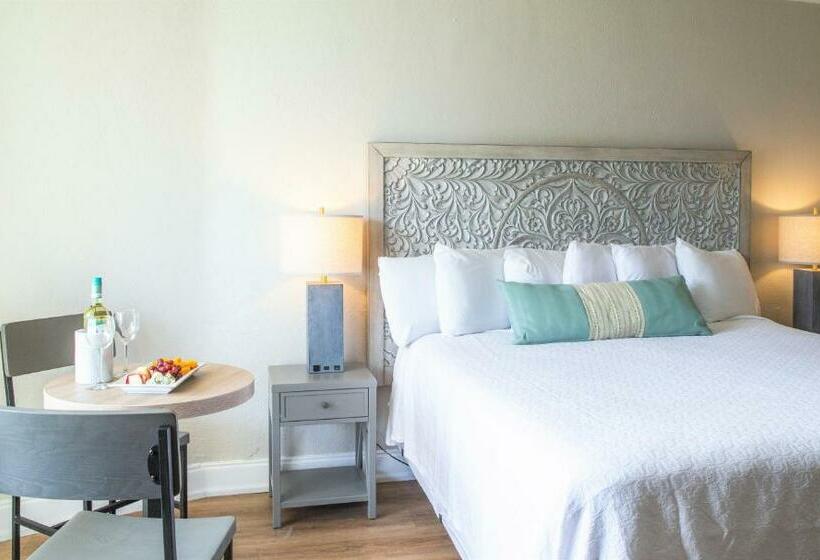 스탠다드 룸 킹사이즈 침대, Bristol Plaza Resort Motel