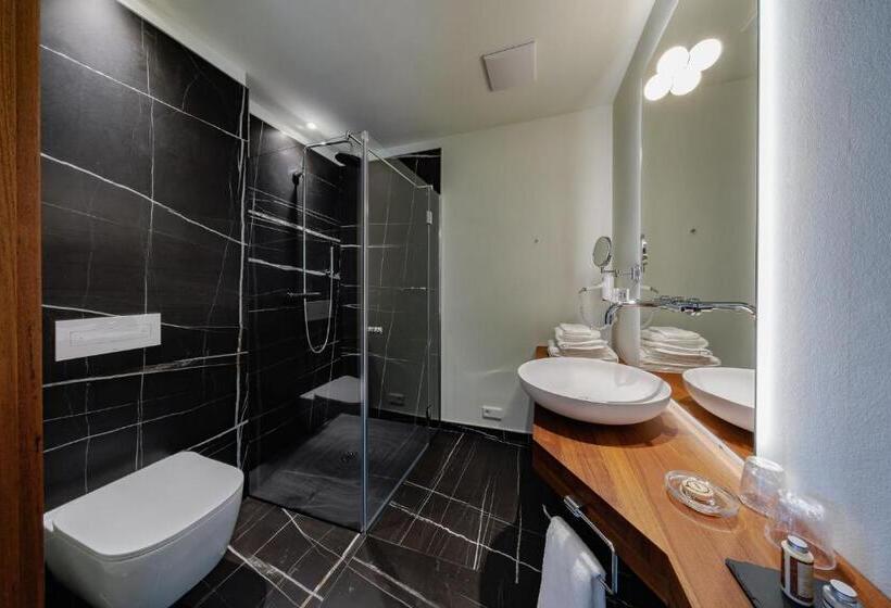 Номер Стандарт Вид на Озеро, Motelplushotel Biggeseefront