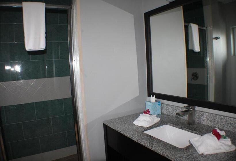 اتاق لوکس خانوادگی, The All New Grace Bay Suites