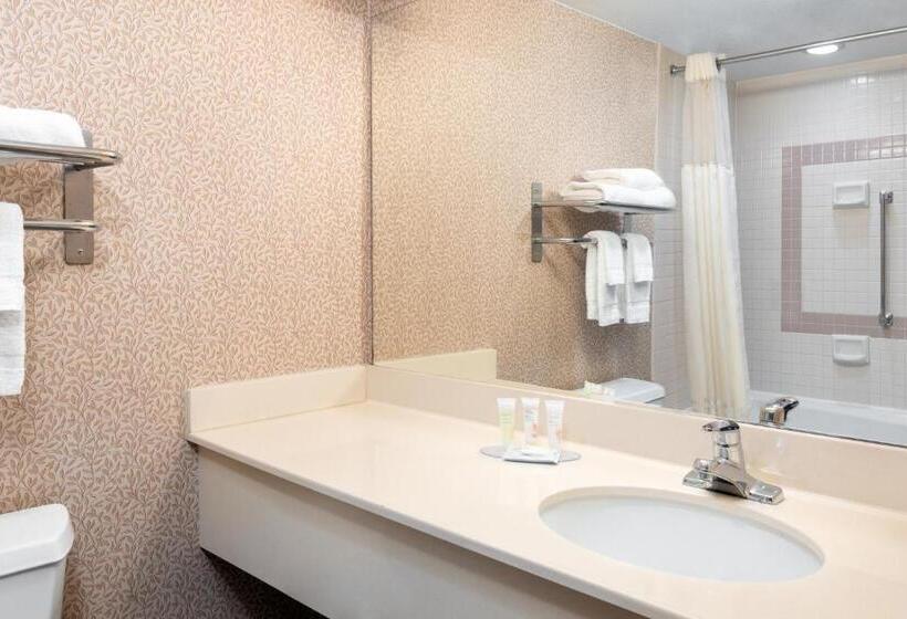 Студио Стандарт Кровать Кинг, Capitol Plaza Hotel Jefferson City