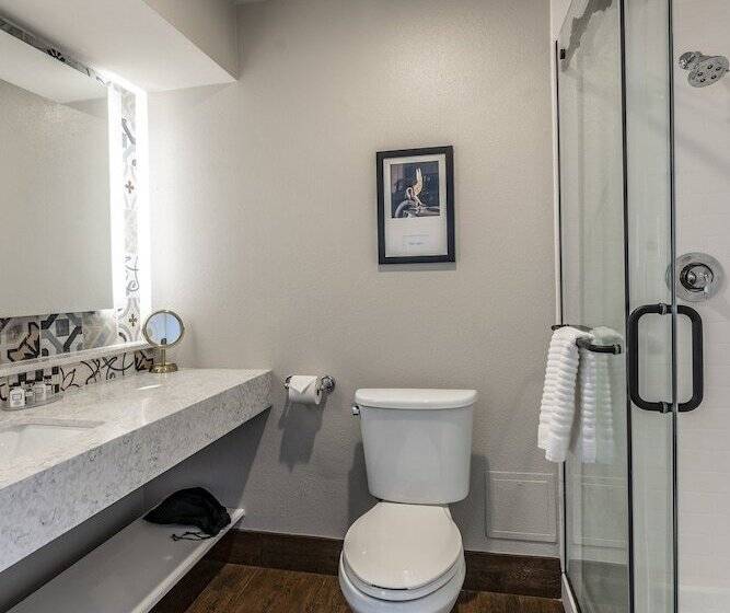 스탠다드 룸 킹사이즈 침대, St Charles Coach House, Ascend Hotel Collection