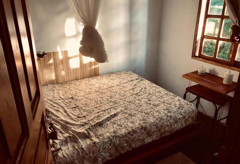 Номер Стандарт, Woodstock Hostel
