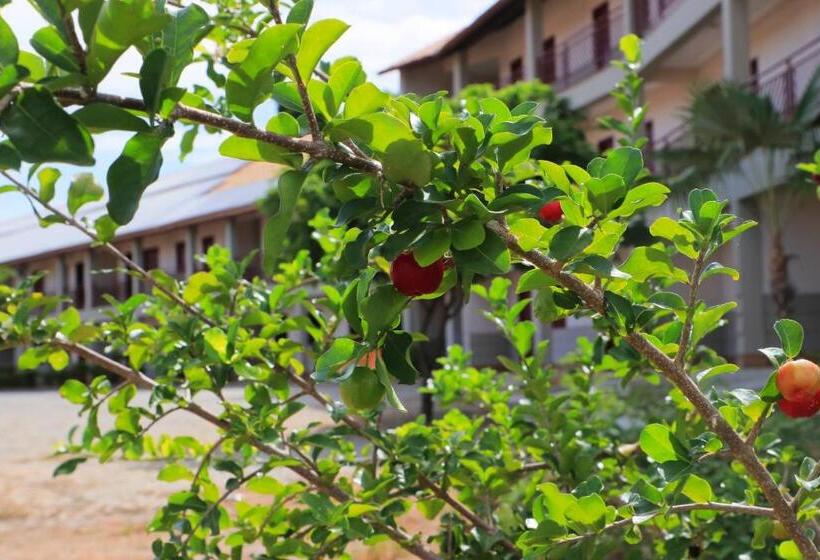 Номер Стандарт, Pousada Da Lapa