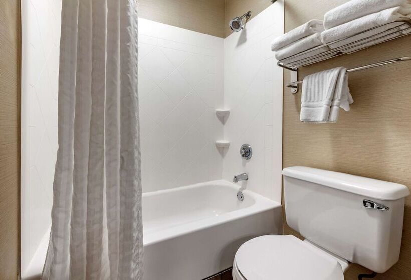 带2个双人床的标准工作室, Comfort Inn & Suites Butler