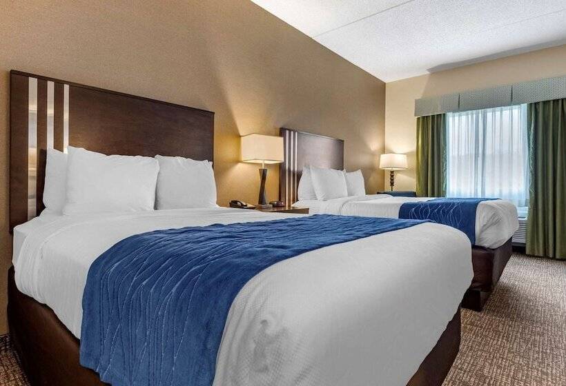带2个双人床的标准工作室, Comfort Inn & Suites Butler