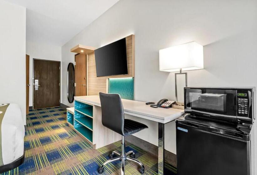 Номер Стандарт, Quality Inn Brookings University