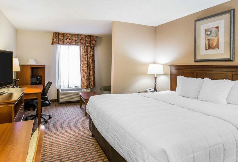 스탠다드 룸, Quality Inn & Suites