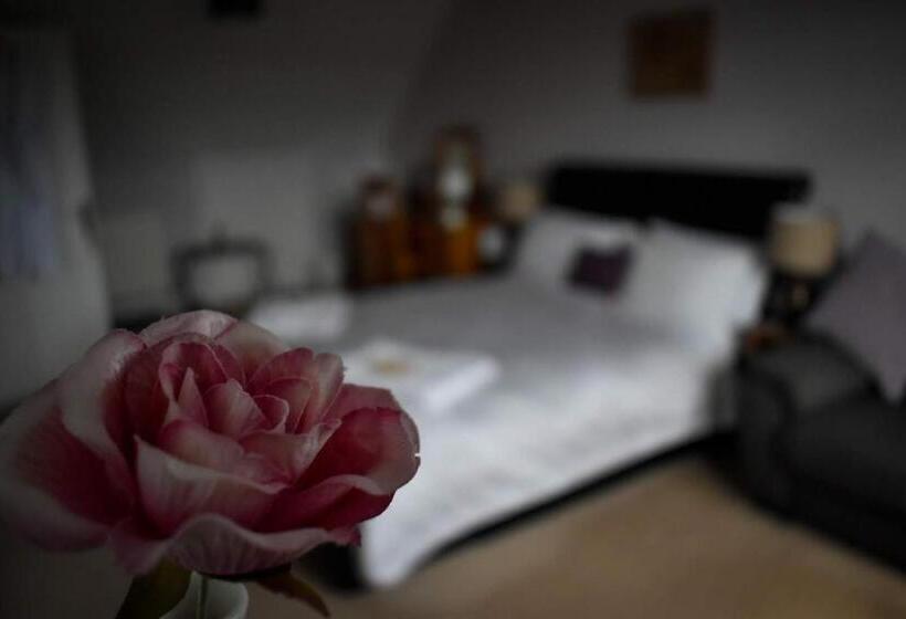 스탠다드 싱글 룸, Tlc Exmouth Bed And Breakfast
