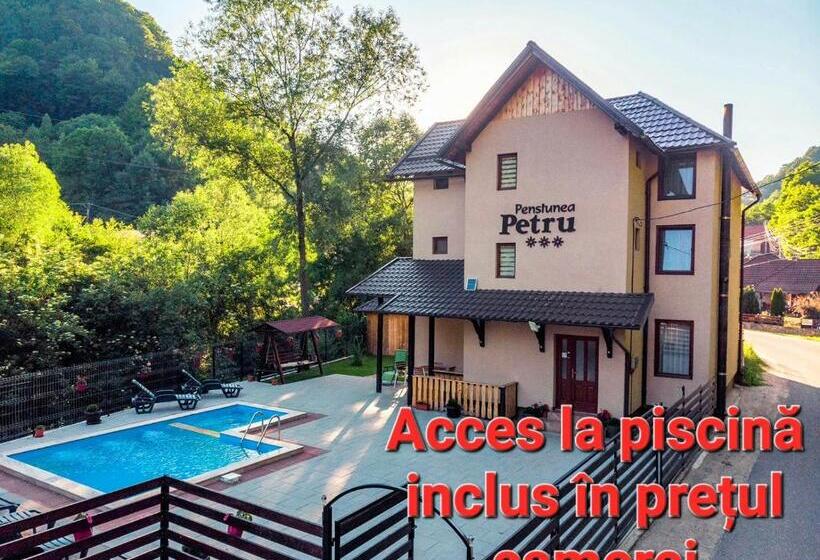 خانه 1 خوابه, Pensiunea Petru