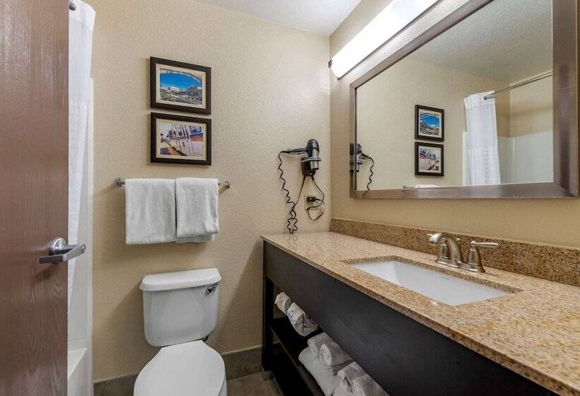스위트, Comfort Suites Highlands Ranch Denver Tech Center Area