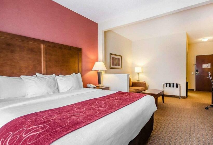 스위트 킹사이즈 침대, Comfort Suites Prestonsburg West