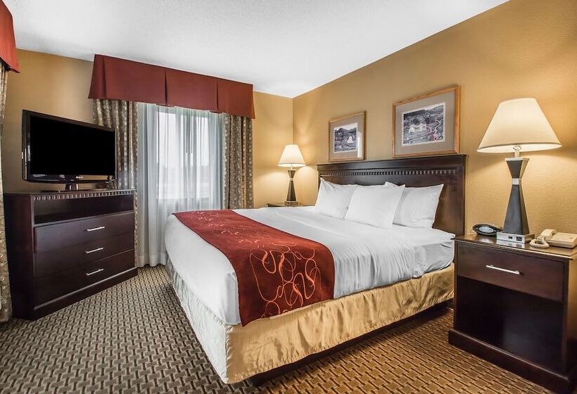 Люкс, Comfort Suites Wisconsin Dells Area