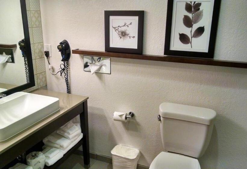Студио Стандарт Кровать Кинг, Country Inn & Suites By Radisson, Chippewa Falls, Wi