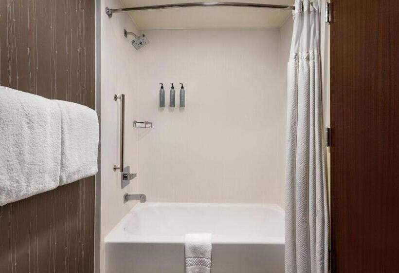 스탠다드 룸 킹사이즈 침대, Courtyard Tupelo