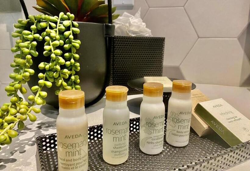 프리미엄 룸, Indigo Miami Brickell By Ihg