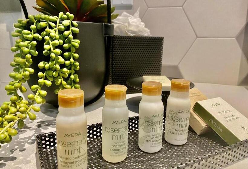 프리미엄 룸, Indigo Miami Brickell By Ihg