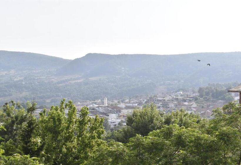 Студия Стандарт, Résidence Panorama