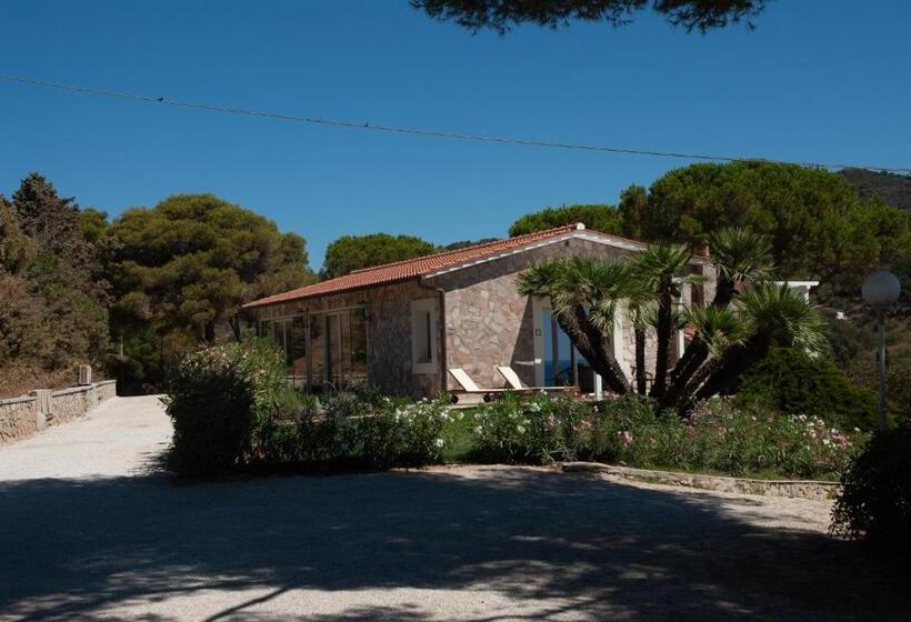 آپارتمان سوپریور 1 خوابه با چشم‌انداز دریا, Resort Capo Bianco