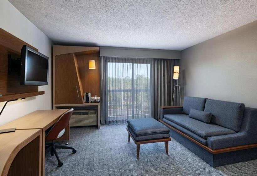 اتاق استاندارد با تخت بزرگ, Courtyard By Marriott Austin The Domain Area