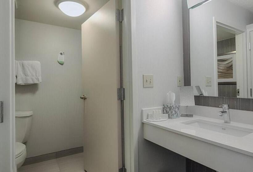 Стандартный Номер Кровать Кинг, Courtyard By Marriott Dallas Dfw Airport North/irving