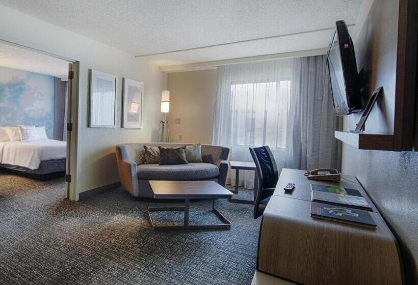 Люкс Кровать Кинг, Courtyard By Marriott Dallas Dfw Airport North/irving