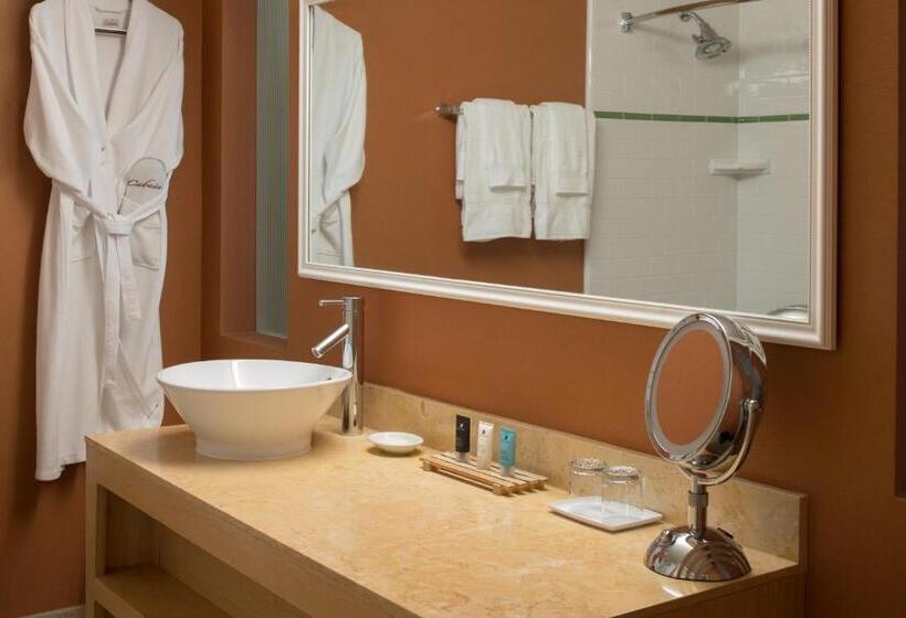 キングサイズベッドのスタンダードルーム, Crowne Plaza Cabana Hotel, An Ihg