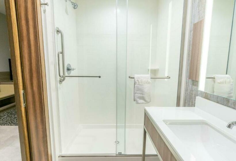 اتاق استاندارد با تخت بزرگ برای معلولان, Hilton Garden Inn Wichita Downtown