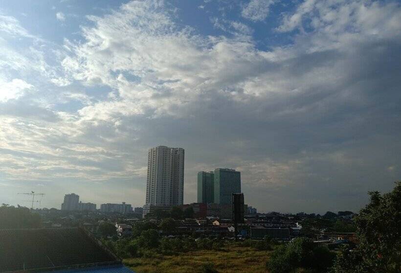 Номер Стандарт, Newland