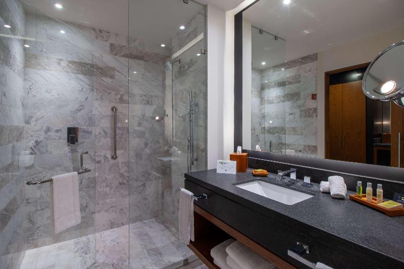 スタンダードルーム, Doubletree By Hilton Celaya