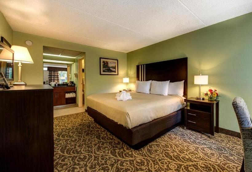 غرفة قياسية سرير كينج, Glenstone Lodge