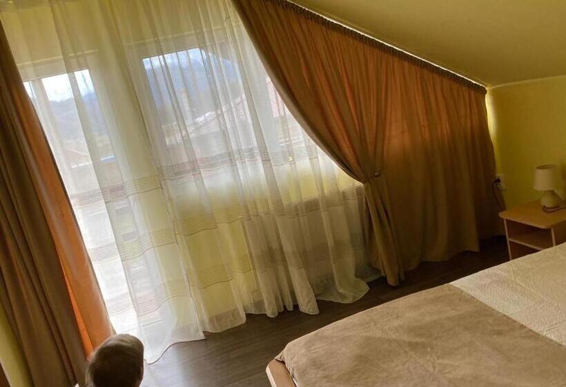 اتاق استاندارد, Casa Albert Valea Avrigului