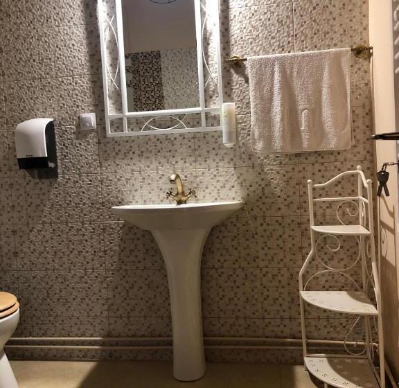 اتاق استاندارد با تخت بزرگ, Casa Albert Valea Avrigului