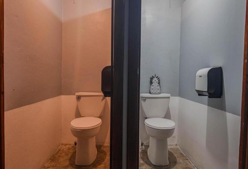 تختخواب در اتاق مشترک, Drift Inn San Pedro